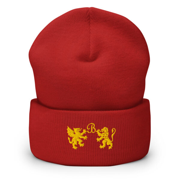 Cuffed Beanie - Image 6