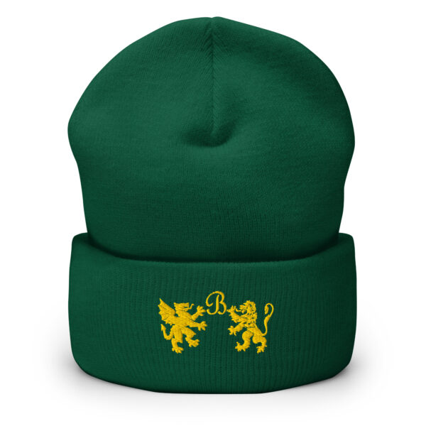 Cuffed Beanie - Image 8